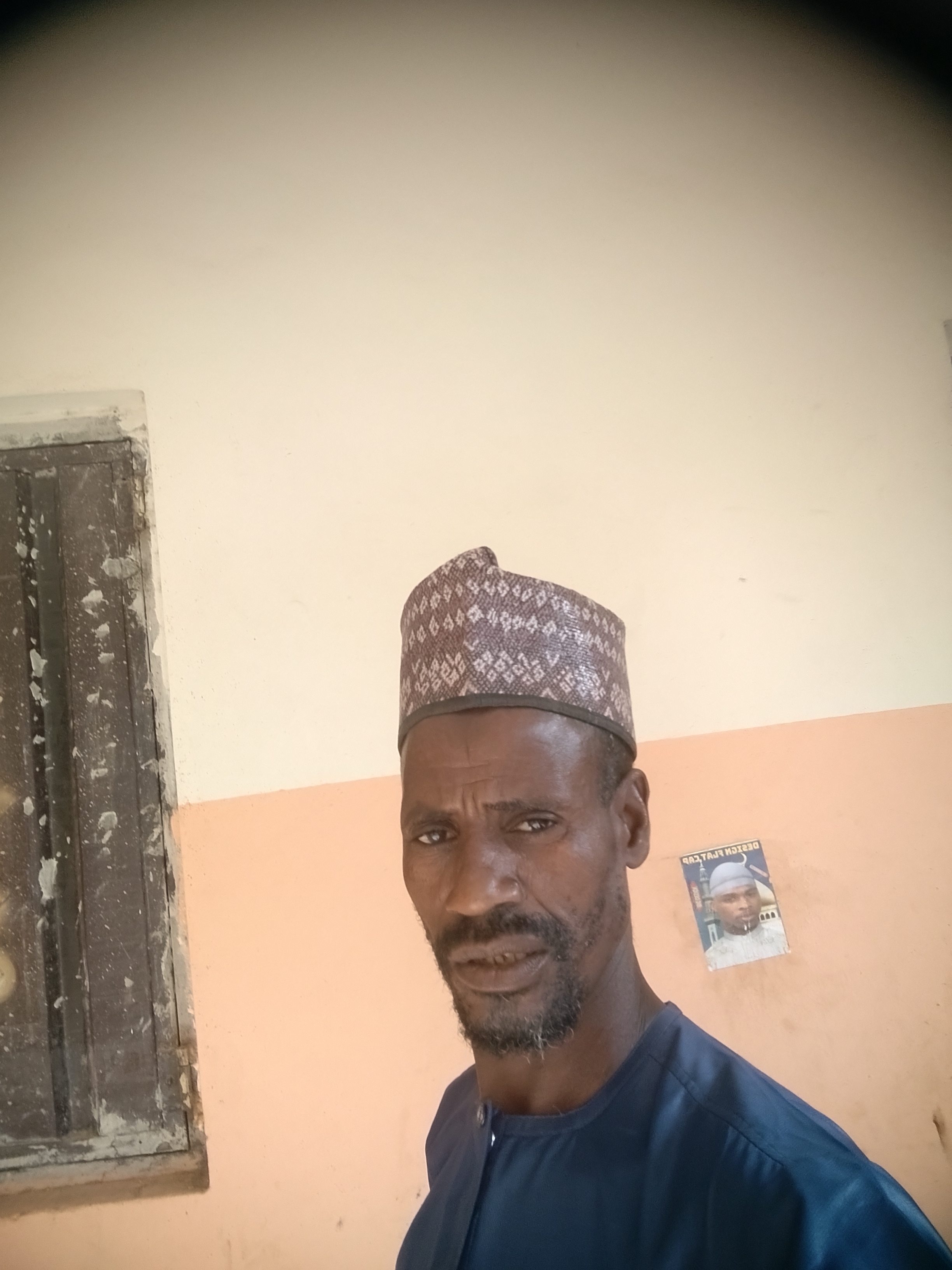 Shehu jungudo